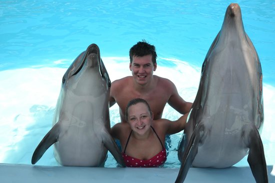 Excursion to the dolphin show in Hurghada